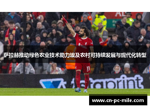 萨拉赫推动绿色农业技术助力埃及农村可持续发展与现代化转型