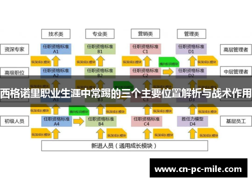 西格诺里职业生涯中常踢的三个主要位置解析与战术作用