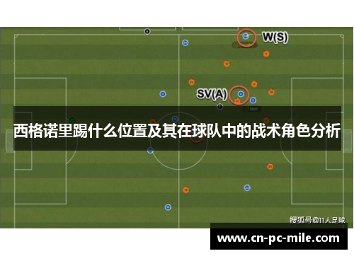 西格诺里踢什么位置及其在球队中的战术角色分析