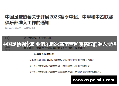 中国足协强化职业俱乐部欠薪审查逾期将取消准入资格