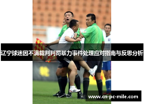 辽宁球迷因不满裁判判罚暴力事件处理应对指南与反思分析